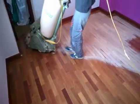 Arreglos